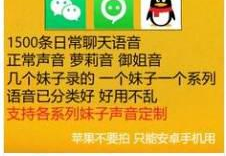 带你了解暴力项目背后的秘密！