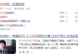 暴利野路子灰色项目解谜
