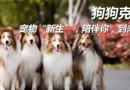 克隆猫狗的蓝海暴利市场