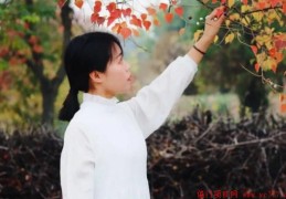 网络淘金江湖中，到底要和谁学赚钱？