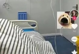 两个精准引流方法（适合各平台操作）