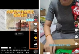 一个小众冷门路子，搞钱能力惊人！