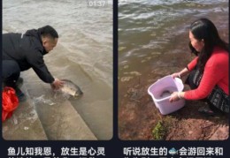 讲几个短视频偏门路子的玩法逻辑！