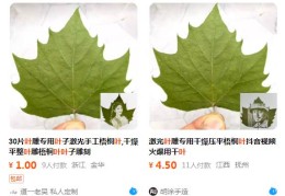 一片树叶卖十几块，这个项目适合新手玩！