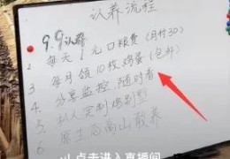边玩边赚，年利润过千万的认养项目！