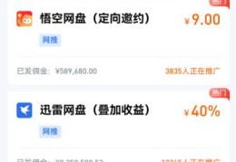 网盘拉新大战，普通人如何从中搞钱！