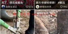挖掘一个可以月入20W的抖音冷门项目！