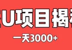一个黑吃黑的灰色黑产项目解密！