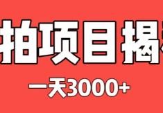 一天3000+的代拍项目解密
